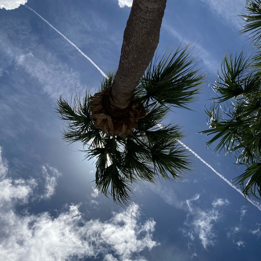 Meet your Posher, Del